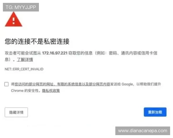AG下载过程中遇到问题怎么办？全面排查与技术支持帮助你顺利完成安装